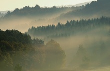 Arbachtal im Morgennebel