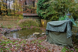 My Hide, my Pond, my Kingfisher :-)