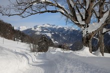 Schön viel Schnee