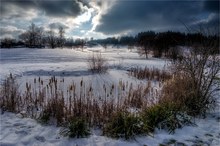 Der kleine Weiher