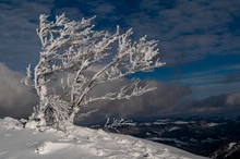 Wind - Nebel - Kälte