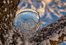 Winterwelt in der Kugel