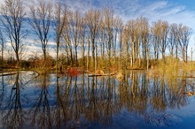 Hochwasser