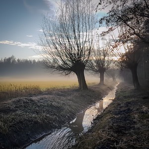 Typisch Niederrhein