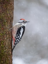 Erfreulicher Besuch