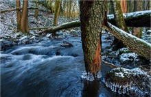 Ein wenig Winter in der Strohner Schweiz