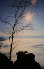 Felsen im Nebel