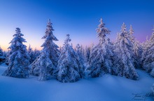 Winter im Fichtelgebirge