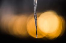 Eiszapfen im Abendlicht