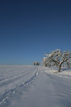 Perfekter Wintertag