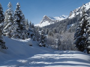 Winter war's
