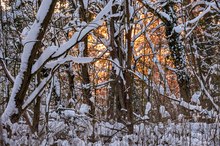 ein letztes Winterleuchten