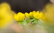 ich auch :-)