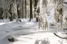 Winter im Rothaargebirge