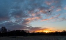 Langsam geht die Sonne