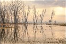 Reste vom letzten Hochwasser