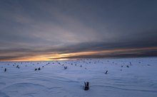 Schnee am Niederrhein