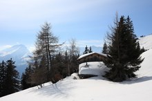 Frühling im Anzug