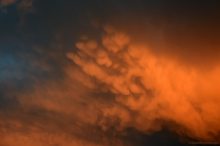 Mammatus