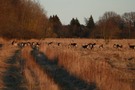 Bei Sonnenuntergang