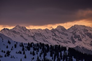 Abendlicht