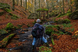 Gunnar im Karlstal