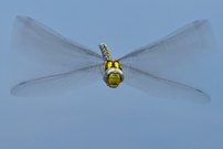 Bitte Abstand halten!