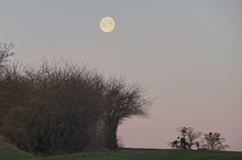 Morgenstimmung mit Mond