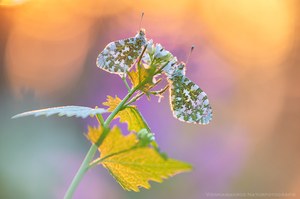 Erstes Sonnenlicht