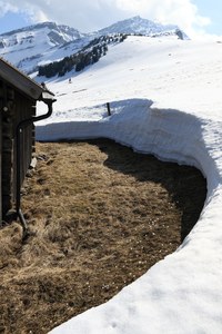 Bergfrühling