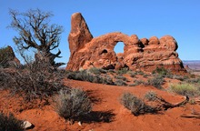 Rote Felsen, blauer Himmel ...,