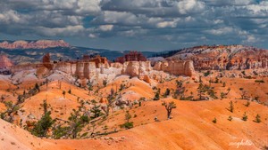 Wanderung durch den Bryce Canyon