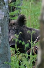 Ich hab dich im Blick!