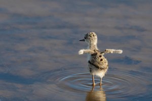 Phuu, ist das Wasser nass...!