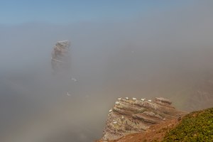 Nebel am roten Felsen