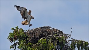 „Bei Sonnenhöchststand“
