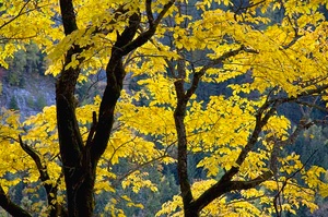 Nichts Besonderes und doch was Besonderes