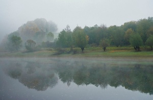 Nebeliger Morgen