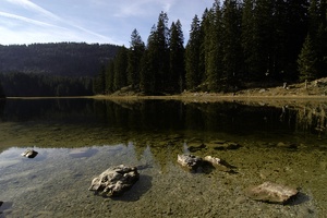 Obersee