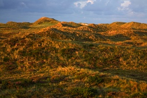 Sonnenaufgang in den Dünen.