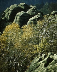 Herbst ....