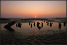 Abend im Wattenmeer