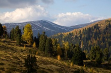 Nockberge im Herbst