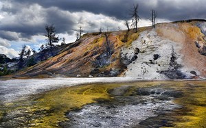 Mammoth Hot Springs ...