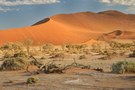 Namib ftüh am morgen (2)