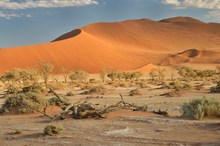 Namib ftüh am morgen (2)