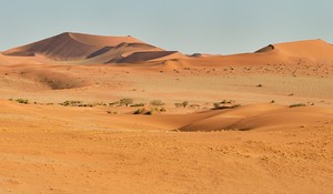 Namib am morgen (3)