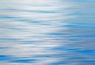Alles schwimmt.....