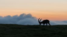 Ein Morgen im Gebirge