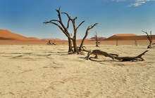 Dead Vlei (2)